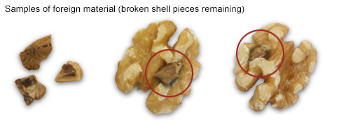 Samples of foreign material (broken shell pieces